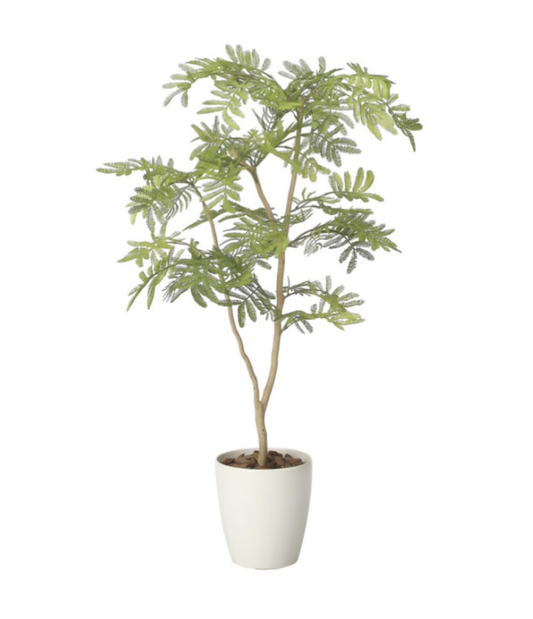 光触媒　人工観葉植物　ウォールグリーン　フェイクグリーン　アセビ175@ 光触媒 人工観葉植物 ウォールグリーン フェイクグリーン アセビ175