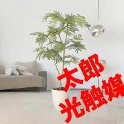 光触媒 人工観葉植物 ウォールグリーン フェイクグリーン カシワバゴム