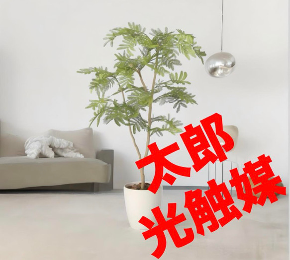 光触媒 人工観葉植物 ウォールグリーン フェイクグリーン ねむの木90