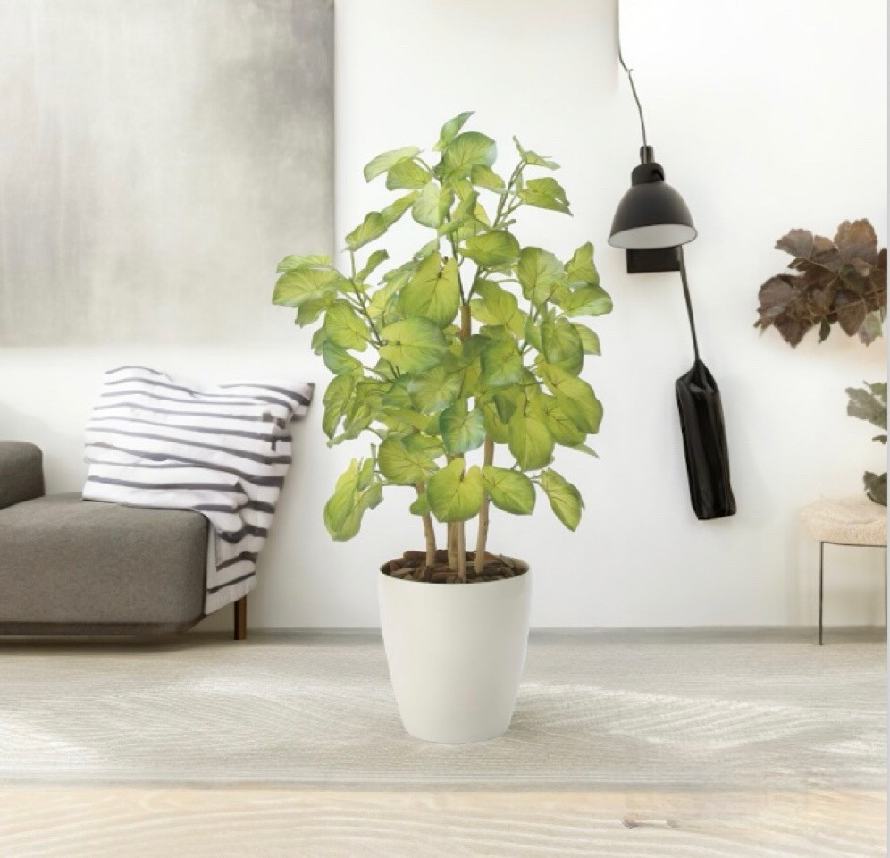 光触媒　人工観葉植物　ウォールグリーン　フェイクグリーン　バウヒニア70