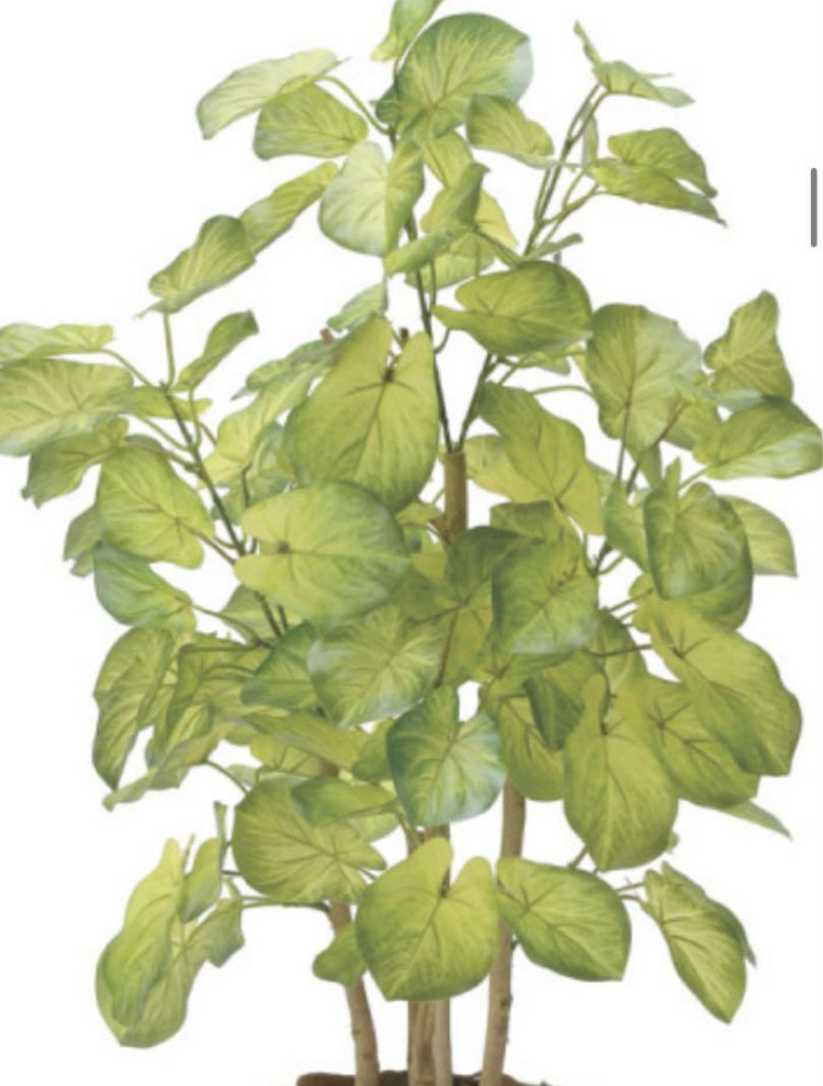 光触媒　人工観葉植物　ウォールグリーン　フェイクグリーン　バウヒニア70