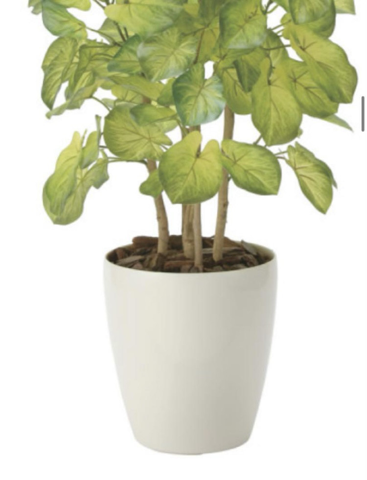 光触媒　人工観葉植物　ウォールグリーン　フェイクグリーン　バウヒニア70