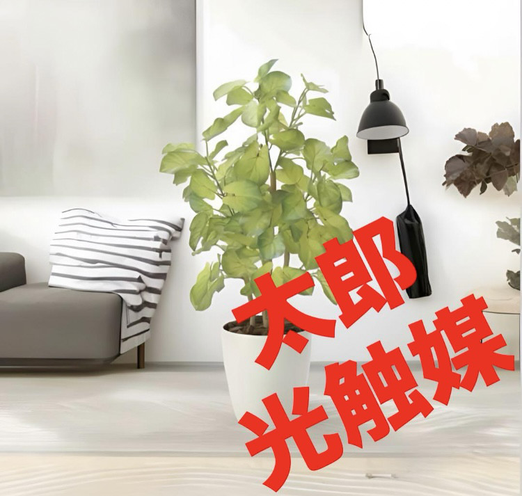 光触媒人工観葉植物ウォールグリーンフェイクグリーンアセビ150@m