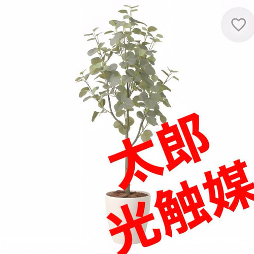 光触媒　人工観葉植物　ウォールグリーン　フェイクグリーン　ユーカリツリー1.35 光触媒 人工観葉植物 ウォールグリーン フェイクグリーン