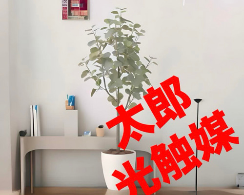 光触媒 人工観葉植物 ウォールグリーン フェイクグリーン ユーカリ