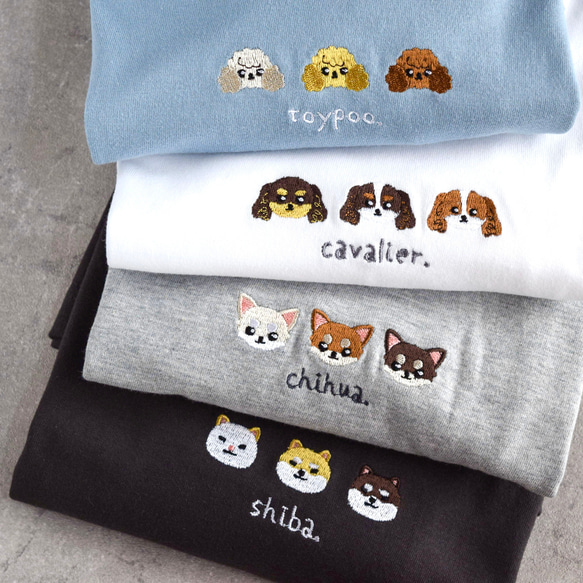 【希少】ジューシークチュール Tシャツ柄 チャーム グリーン ゴールド 犬 箱付 受注生産】箱入り犬Tシャツ コーギー、柴犬、パグ、ペキニーズ