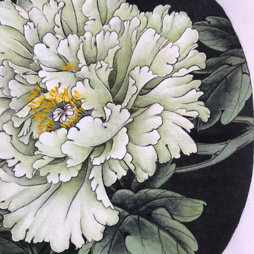 掛け軸 牡丹 葉牡丹 水墨画 インテリア ピンク 絵画 こたつ 通販