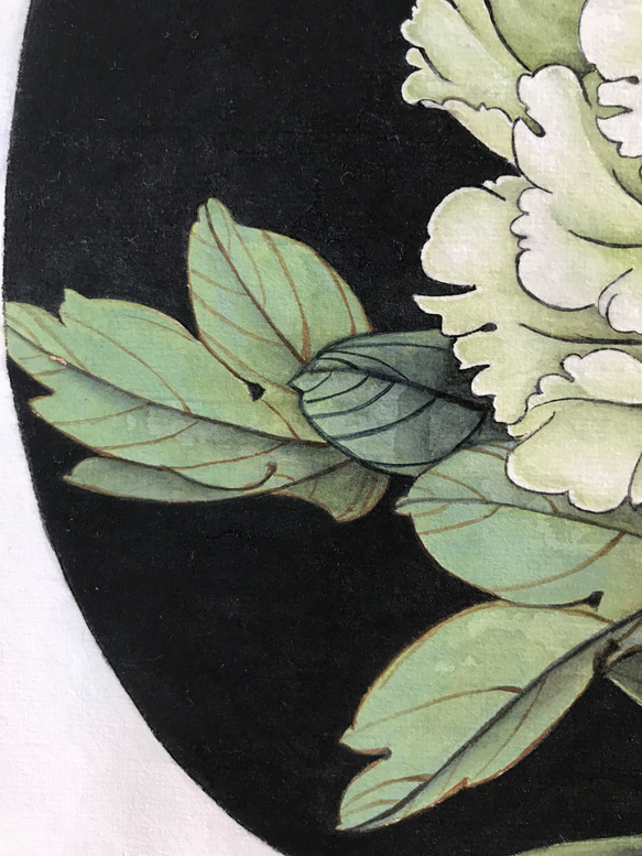 　牡丹　白牡丹　水墨画　細密画　絵画 4枚目の画像