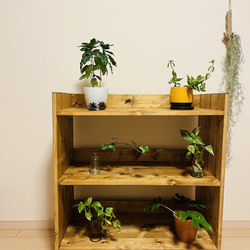 ハンドメイド　棚　ラック　シェルフ　観葉植物置き　オーダー受け付けます。 6526308386685d936cb2fb16743dd3