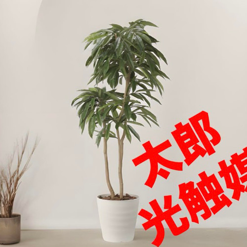 光触媒 人工観葉植物 ウォールグリーン フェイクグリーン アムステル