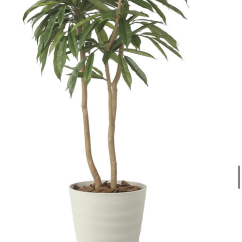 光触媒人工観葉植物ウォールグリーンフェイクグリーンアムステルラバー