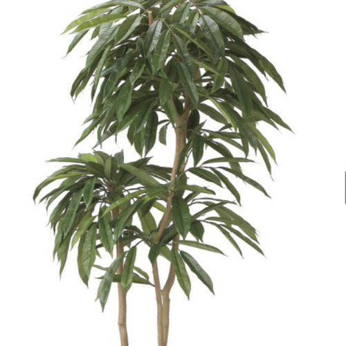 光触媒 人工観葉植物 フェイクグリーンアムステルラバーキング1.8