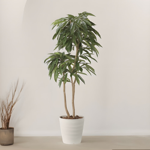 光触媒 人工観葉植物 フェイクグリーンアムステルラバーキング1.8