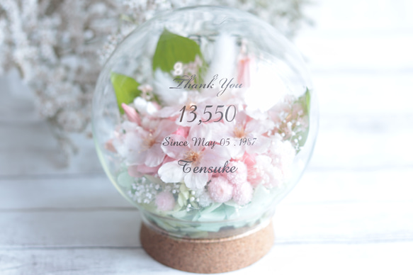 両親贈呈や大切な方に】“感謝状”フラワーガラスドームS～桜の花畑