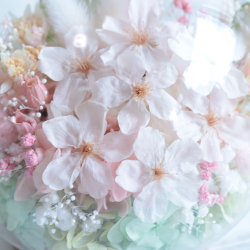 大切な方に贈るお花】Thank YouフラワーガラスドームM“桜の花畑
