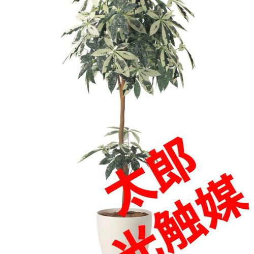 光触媒 人工観葉植物 ウォールグリーン フェイクグリーン