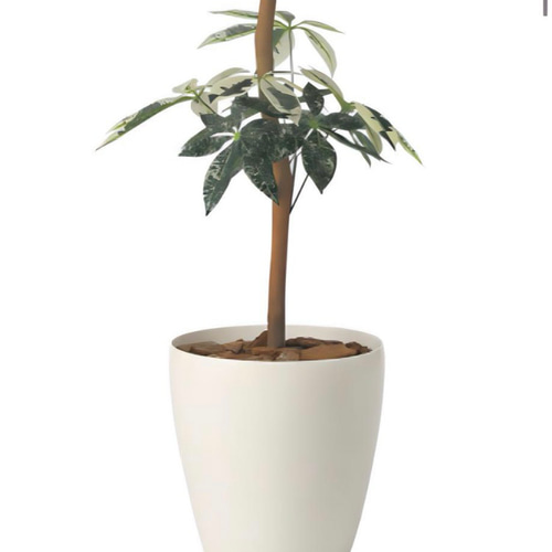 魅了 光触媒 人工観葉植物 フェイクグリーン ウォールグリーン フラワー・ガーデニング