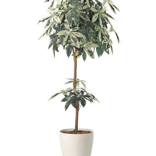 （お得な特別割引価格） 光触媒 人工観葉植物 フェイクグリーン ウォールグリーン フラワー・ガーデニング