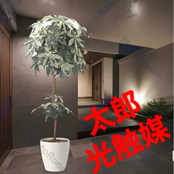 光触媒 人工観葉植物 ウォールグリーン フェイクグリーン ミルキー