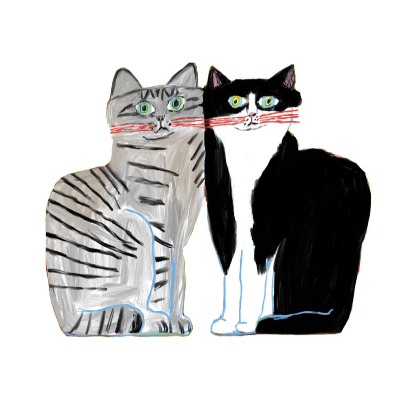 『すりすり』ビッグシルエットTシャツ　送料無料