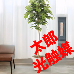 光触媒 人工観葉植物 ウォールグリーン フェイクグリーン ケヤキ1.6