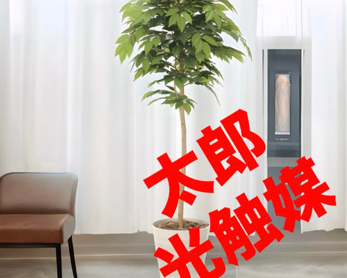 光触媒　人工観葉植物　ウォールグリーン　フェイクグリーン　ケヤキ1.6 光触媒 人工観葉植物 ウォールグリーン フェイクグリーン ケヤキ1.6