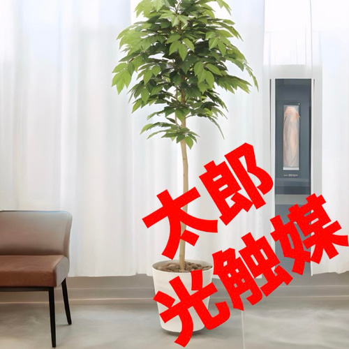 光触媒 人工観葉植物 ウォールグリーン フェイクグリーン ケヤキ1.6