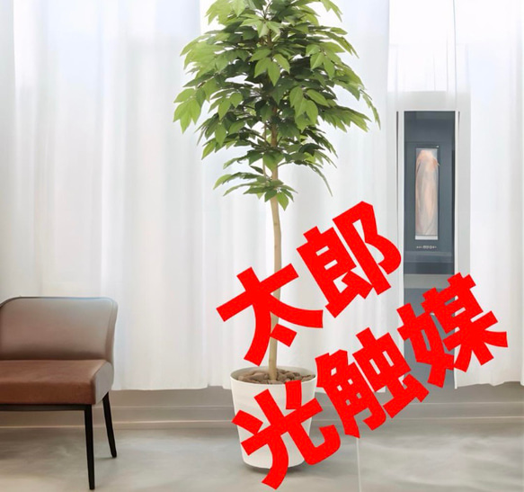 光触媒 人工観葉植物 ウォールグリーン フェイクグリーン ケヤキ
