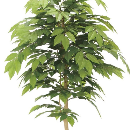 光触媒　人工観葉植物　ウォールグリーン　フェイクグリーン　ケヤキ1.6 光触媒 人工観葉植物 ウォールグリーン フェイクグリーン ケヤキ