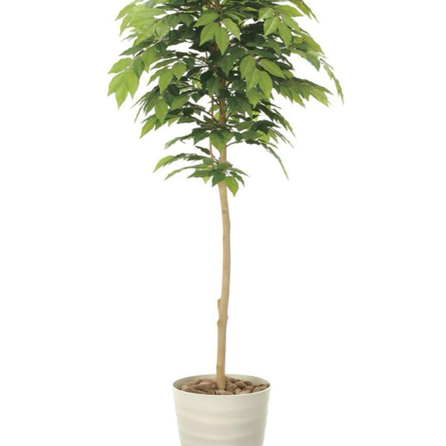 光触媒　人工観葉植物　ウォールグリーン　フェイクグリーン　ケヤキ1.6 光触媒 人工観葉植物 ウォールグリーン フェイクグリーン ケヤキ1.6