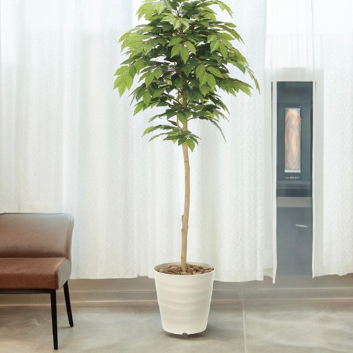 光触媒　人工観葉植物　ウォールグリーン　フェイクグリーン　ケヤキ1.6 光触媒 人工観葉植物 ウォールグリーン フェイクグリーン ケヤキ1.6