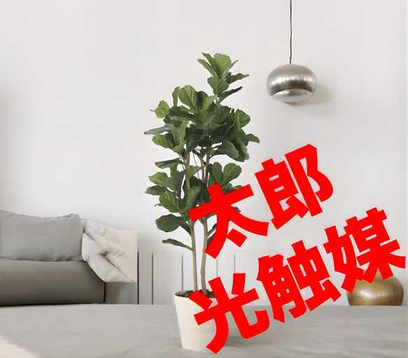 光触媒 人工観葉植物 ウォールグリーン フェイクグリーン カシワバゴム1.8