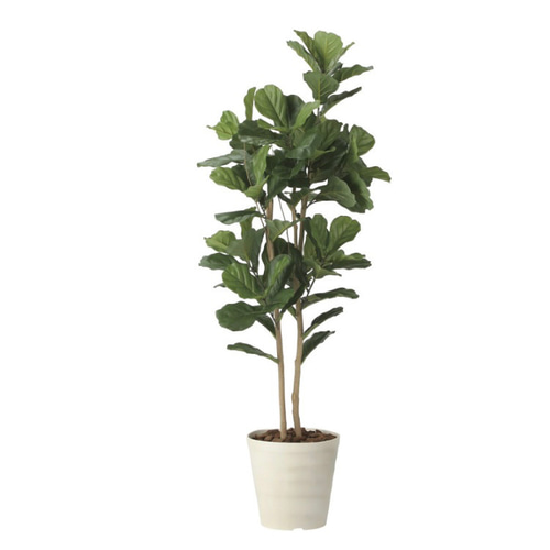 光触媒 人工観葉植物 ウォールグリーン フェイクグリーン カシワバゴム