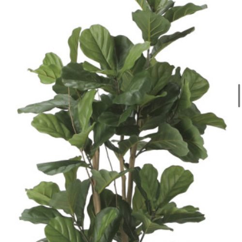 光触媒　人工観葉植物　ウォールグリーン　フェイクグリーン　カシワバゴム1.8 光触媒 人工観葉植物 ウォールグリーン フェイクグリーン カシワバゴム