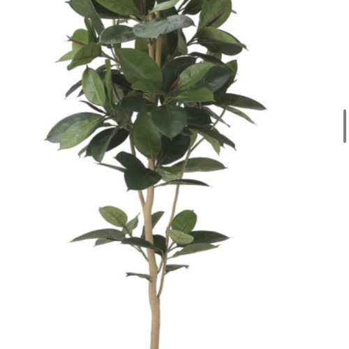 光触媒 人工観葉植物 フェイクグリーン ウッドボックスゴムの木1.8