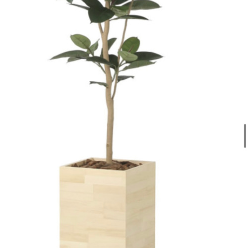 光触媒人工観葉植物フェイクグリーンウッドボックスゴムの木1.8