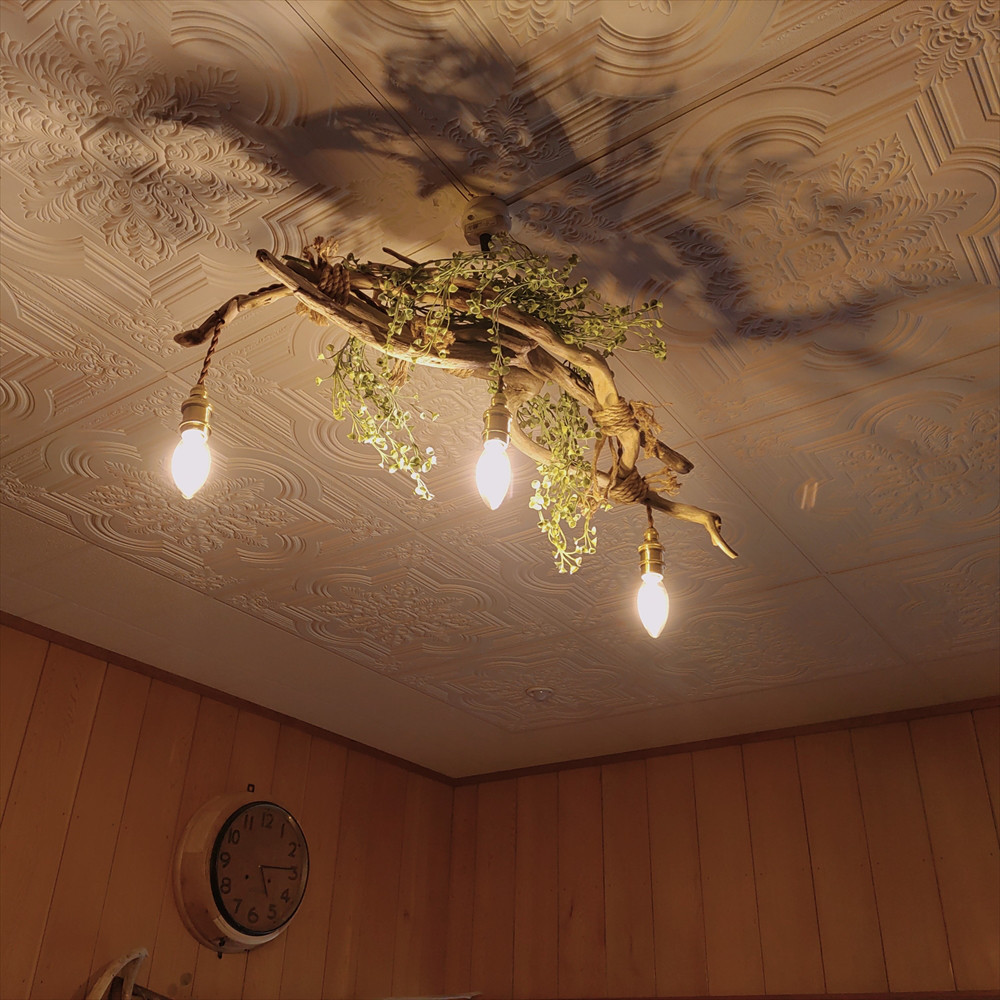 【送料無料】★LED専用★3灯式流木照明★