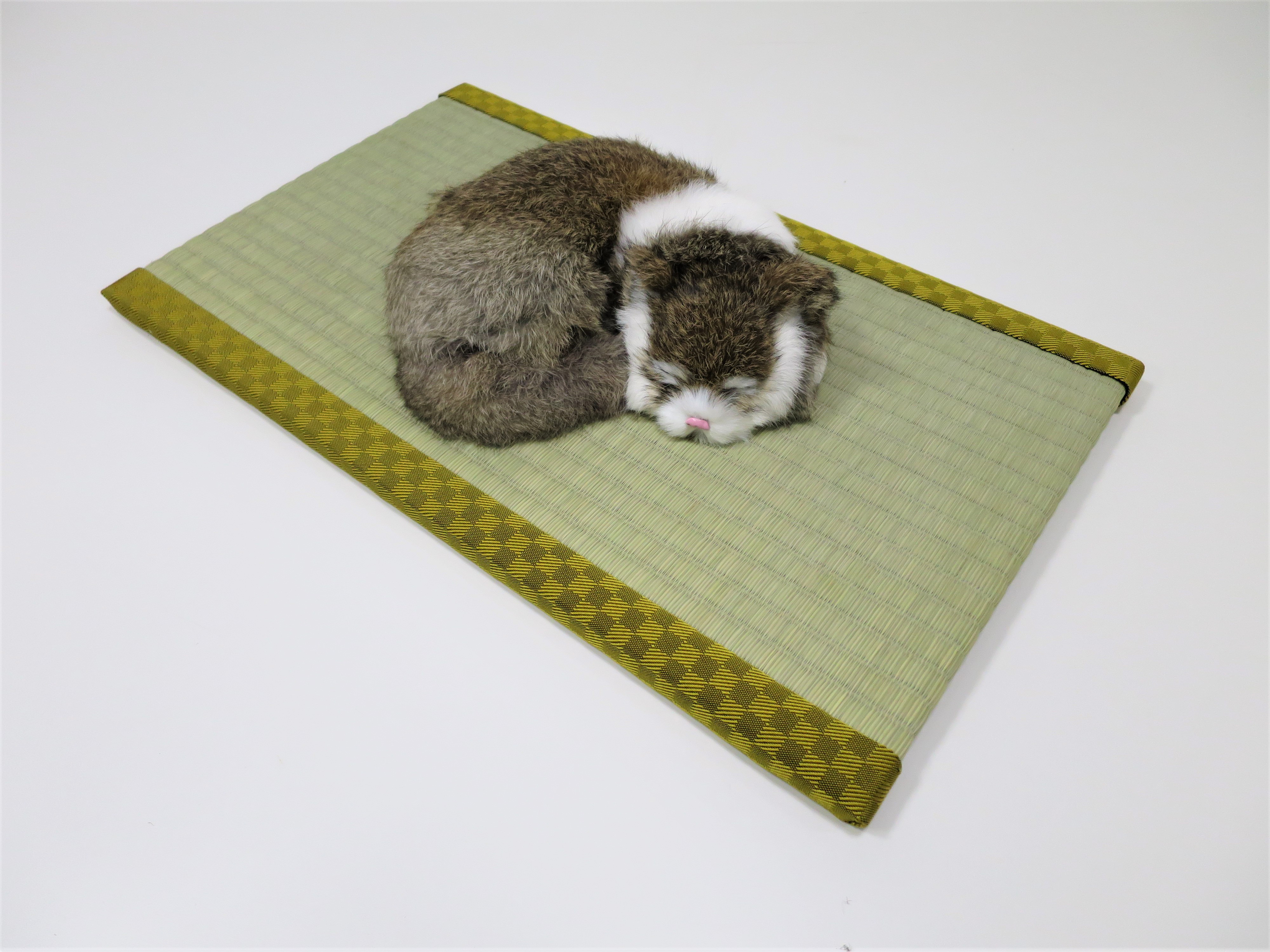 ねこ専用畳”ねこふんじゃった”