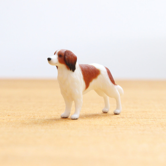 The Big Kooikerhondje コイケルホンディエの洋書 英語 61QYq1hETIL._UF894,1000_QL80_.jpg