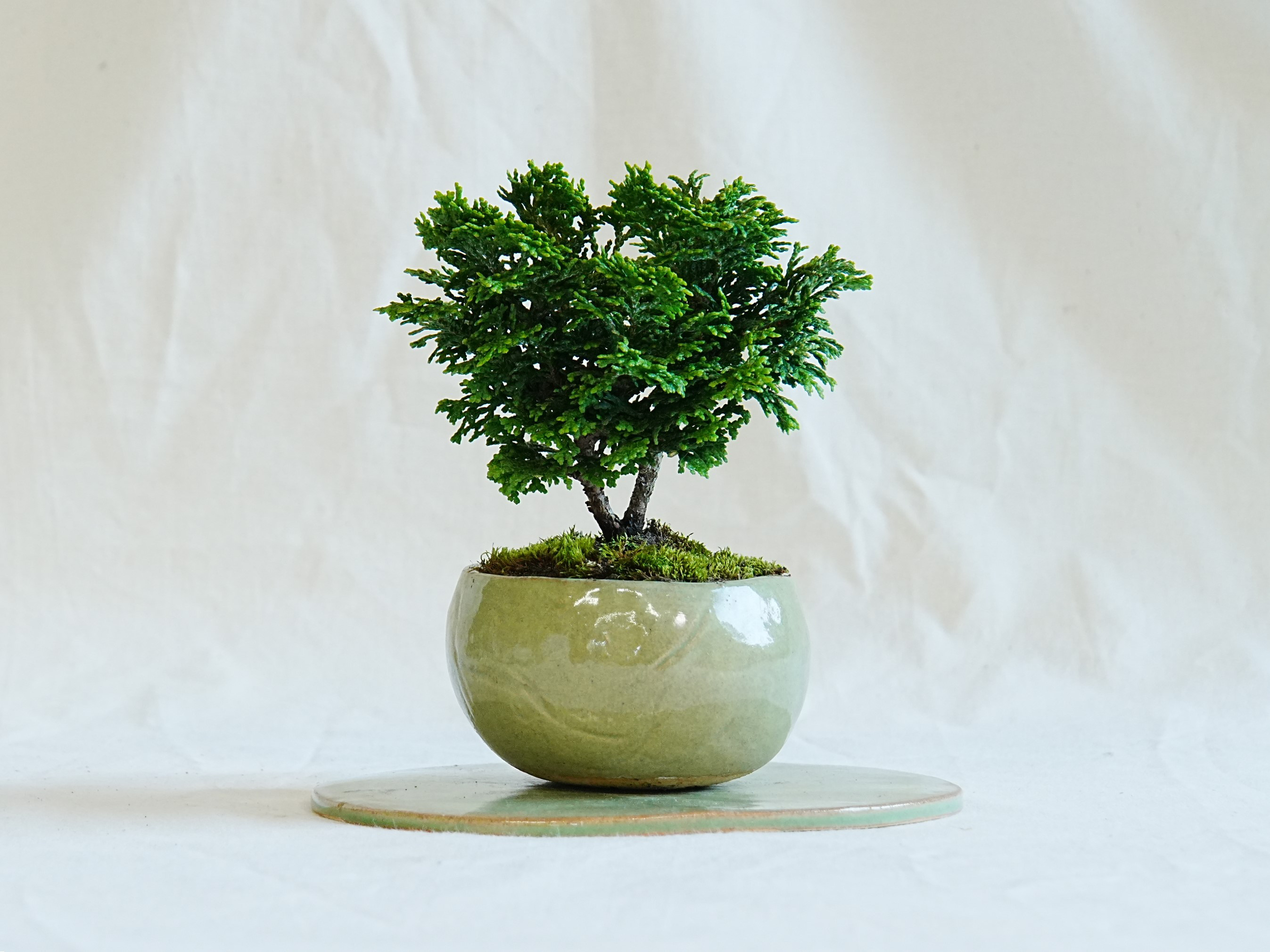 天然石 盆石　モチーフ　伝統工芸品　盆栽盆皿　 盆栽 小品 鑑賞石 ミニュチュア