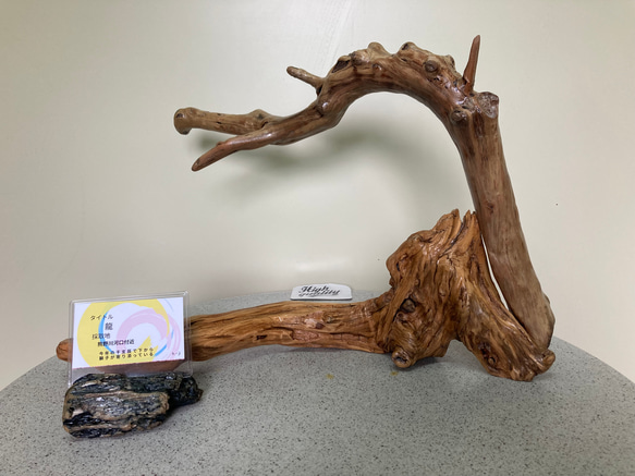 流木のオブジェ・リトルドラゴン