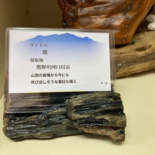 流木オブジェ(タイトル)鷹 その他インテリア雑貨 ヒデ爺の工房