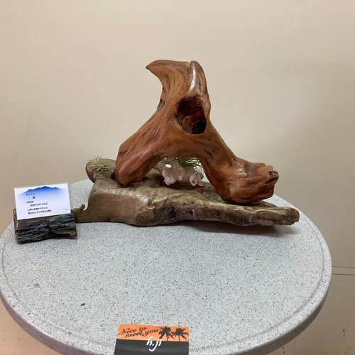 流木鷹レジン加工済み 置物