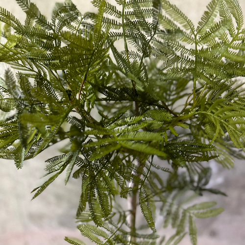 光触媒 人工観葉植物 ウォールグリーン フェイクグリーン 斑入り黒竹