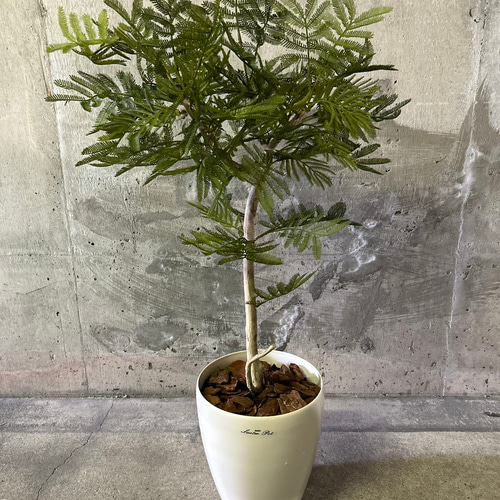 光触媒 人工観葉植物 ウォールグリーン フェイクグリーン 斑入り 光触媒 人工観葉植物 ウォールグリーン フェイクグリーン 斑入り