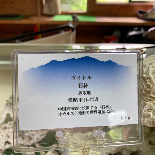 流木オブジェ(タイトル)石林 その他インテリア雑貨 ヒデ爺の工房 通販 