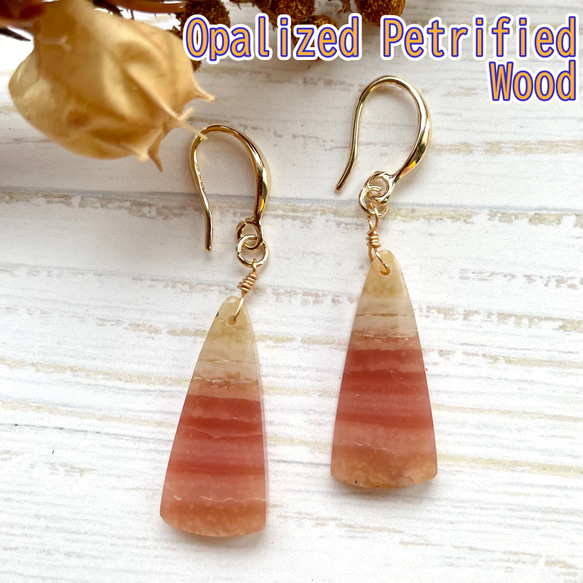 14kgf ペトリファイドウッドオパライズ ピアス