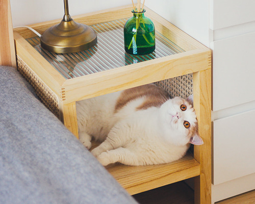 新年SALE キャビネットベッドサイドテーブル 　猫脚　左開き　剥離 期間限定SALE ヴィンテージ ベッドサイドテーブル 猫脚 左開き