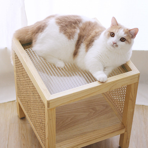 新年SALE キャビネットベッドサイドテーブル 　猫脚　左開き　剥離 期間限定SALE ヴィンテージ ベッドサイドテーブル 猫脚 左開き