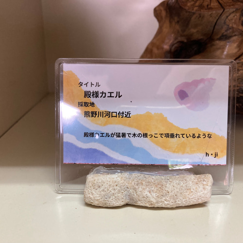 流木オブジェ(タイトル)殿様カエル その他インテリア雑貨 ヒデ爺の工房 
